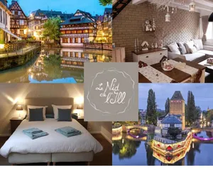 Image of LE NID DE L'ILL, Magnifique Duplex Cosy Petite France