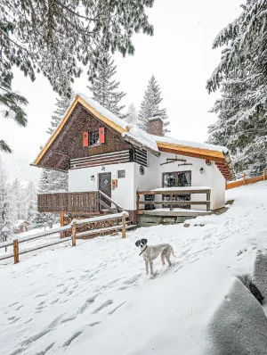 Image of Mountain vacation for the heart and senses at 1,700 m