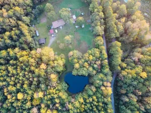 Image of Serene Log Home w pond, fenced-in yard & pastures