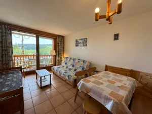 Image of Les Saisies - Studio cabine 4 pers, terrasse, animaux OK - FR-1-293-5