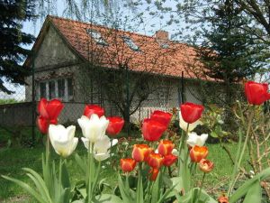Image of Beautiful house, Germany