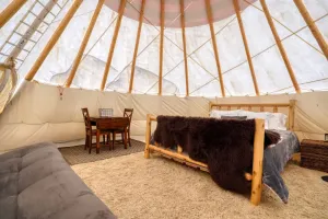 Image of Buffalo Glamping Tipi with King Bed in Black Hills