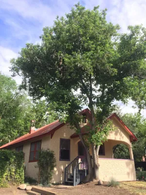 Image of Downtown Durango house