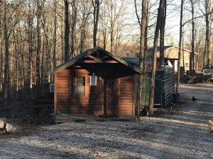 Image of Cute cozy cabin
