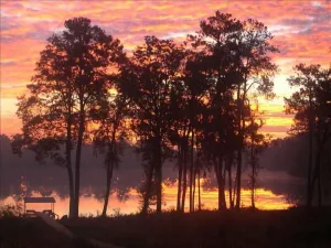 Image of Florida Log Cabin Lakefront