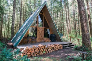 Image of Hidden Gem! Modern A-frame in wooded wonderland
