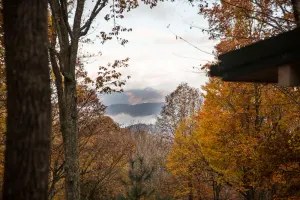 Image of Cozy Renovated Mountain Escape, 10 min to downtown Waynesville & Lake Junaluska,
