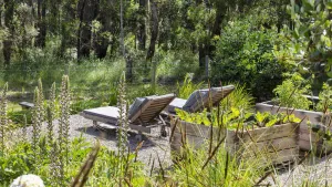 Image of Mid-century modern haven in Red Hill