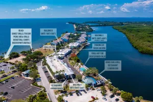 Image of DOLPHINS🐬,BEACH step away,WIFI, FREE PARKING, POOLS,HOT TUB, MARINAS, PIER #307