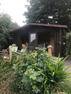 Image of Private Quiet Cabin, overlooking Paddocks Vineyards and Pine Forest