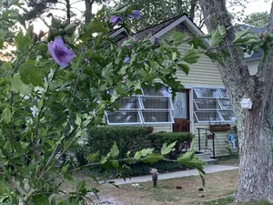 Image of Cottage, Quiet Neighborhood, Short Walk to  Beach, Salt pond nearby for kayaking
