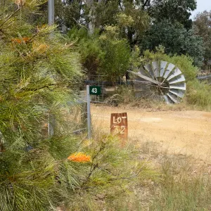 Image of The Lilypad Esperance