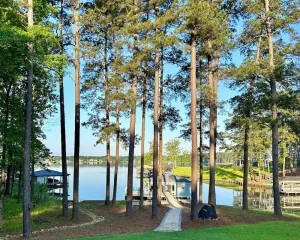 Image of BEST SUNSET ON SINCLAIR ~ CLEAREST WATER, FLAT LOT & BIG WIDE OPEN VIEWS! - WiFi