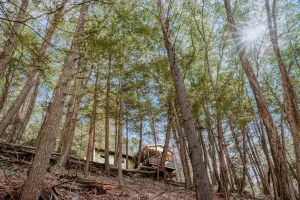 Image of Private Creekfront-fish-Kayaks,campfire,decks, well known trout stream, privacy