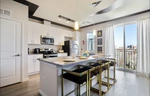 Image of Lux Penthouse 1BR 1BA w\/ Panoramic Views Free Parking & Wifi