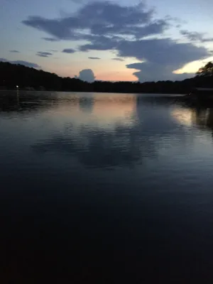 Image of Secluded Seneca\/Clemson Lake Hartwell Waterfront, 3 miles to CU