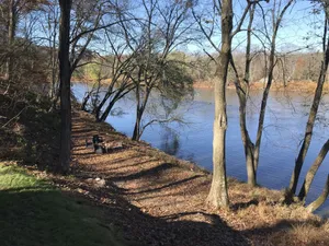 Image of Lazy River Cottage on the Delaware River