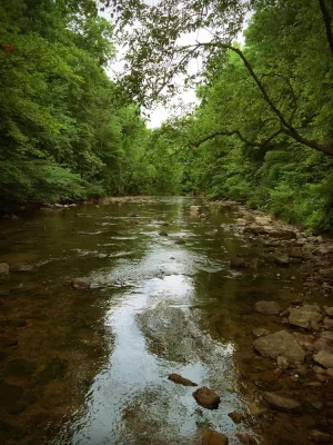 Image of The Rock  Great Secluded Cabin for Fishing Hiking Swimming on 200 Acres