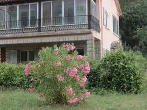 Image of NEW EGLANTINE STUDIO GITE