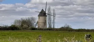 Image of Unusual mill