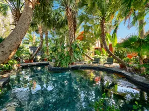 Image of Bali House in Palm Beach w/ Gorgeous Htd Pool