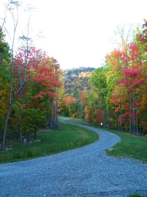 Image of Inviting Mountain Retreat
