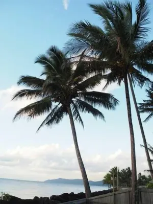 Image of Feather Reef Cottage