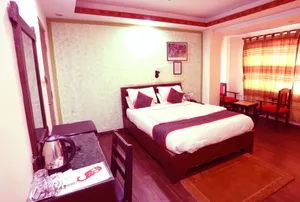 Image of Alpine Hotel And Apartment