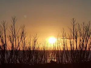 Image of T3-Vue sur ocean - Pieds dans l'eau-Terasse-jardin-Parking gratuit