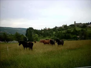 Image of Gîte Provence Luberon Paca Pmr