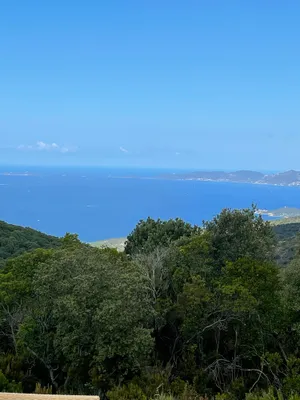 Image of Villa with ocean view, located at Tassinca, in the Valinco Gulf