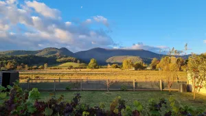 Image of Mount Porepunkah Views