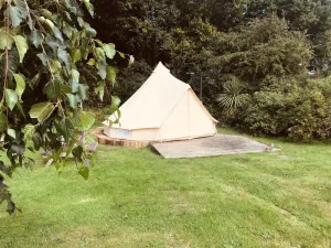 Image of Eartha, a furnished bell tent in field and woodland surroundings