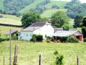 Image of Farm cottage at the foot of the mountain.