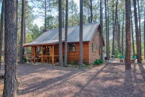 Image of Family Cabin in the Pines. All Wood! Charming memory-maker.