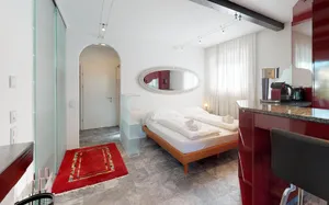 Image of Allegria 16