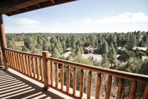 Image of Treetop Terrace in Bison Ridge