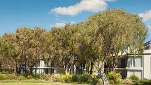 Image of Sixteen at Cape View Escapes - perfect for couplles and families!