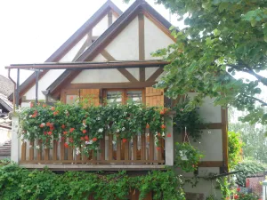 Image of Alsace style timber framed house