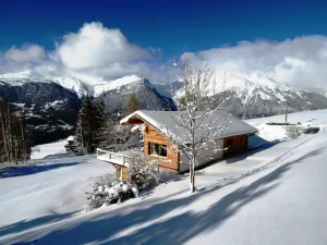 Image of Luxurious chalet 12\/16pp 250M2 La Plagne renovated in 2013. Ski in - ski out