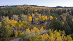 Image of Private Parking w\/ski Locker Beaver Creek Great Views,  Family & Pet Friendly