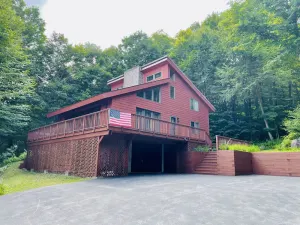 Image of “Hollywood Nights”