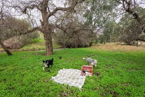 Image of Scrub Tiny House by Tiny Away