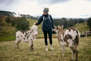 Image of Ultimate farmstay experience - 5 minutes from Jenolan