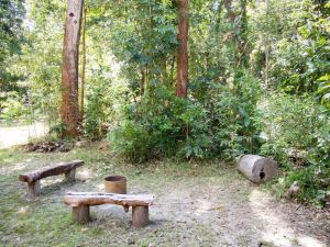 Image of Moo Creek Rainforest hideaway