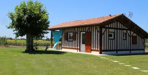 Image of Pierron