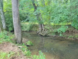 Image of Casa Creek