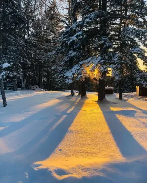 Image of Picturesque Maine Cabin with Lake Access on 33 Acres