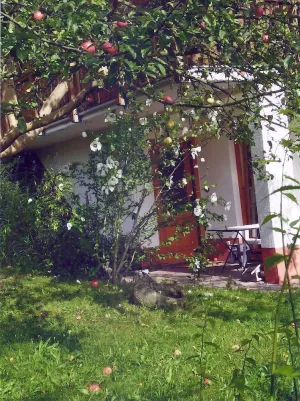 Image of Apartment in a green idyll on the edge of Chemnitz