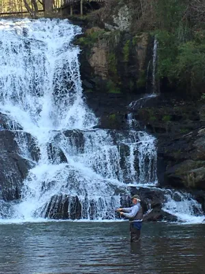 Image of Waterfall Cottage in sight & sound of Cane Creek Falls, 2BR 2BA
